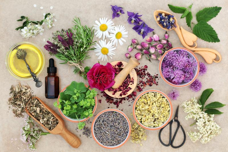 What Herbs Are Good For The Mind